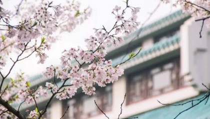 长春市电大中专一年制（新发布）