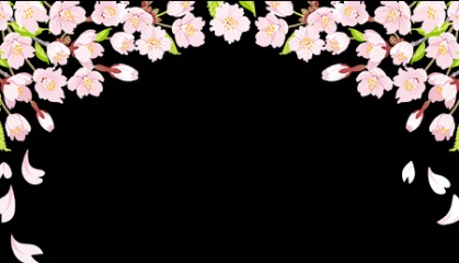 “半城江水半城花”系列报道④｜优雅丁香：花瓣儿写意一座城