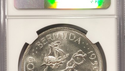 全币白(全币白需要激活吗)