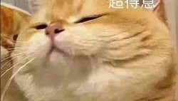 广西男子一口气花38.8万元买了40台手机，民警很快找上门……