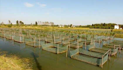 湖北福泽农业技术有限公司靠谱吗