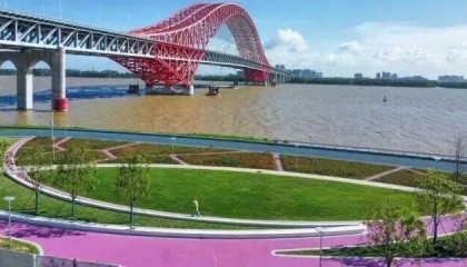 南沙滨海岸线又一高颜值打卡点来啦~快来江畔赏花！
