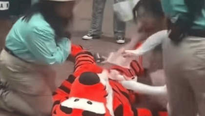 支持“跳跳虎”摘下头套，才符合童话本质