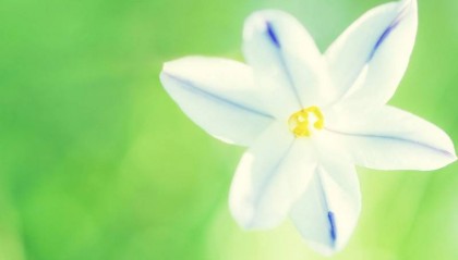 吉林省电大中专条件（新发布）