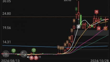 浙江东日股票(浙江东日股票代码是多少)