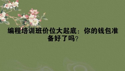 编程培训班价位大起底：你的钱包准备好了吗？
