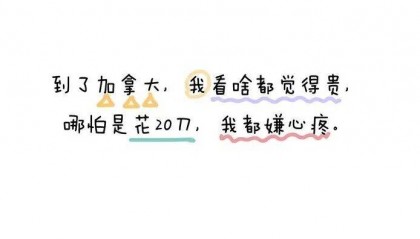 在加拿大消费，自带人民币滤镜。。