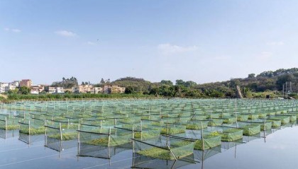 湖北福泽生态农业技术有限公司靠谱吗