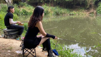 钓养殖鱼和钓野生鱼的4个区别