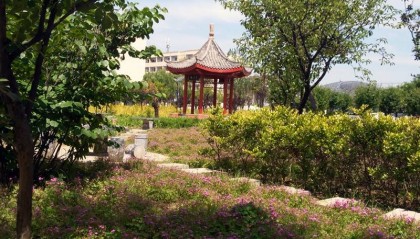 中央电中如何咨询（新发布）