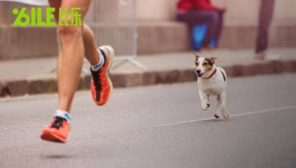 比乐：私域生态与用户叙事，开启情感共鸣新篇章