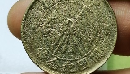 沙币图片(沙币长什么样)