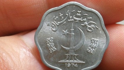 巴币(巴西龟是凶龟还是吉龟)