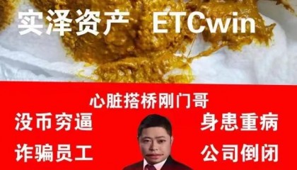 ect币(ect币价格)