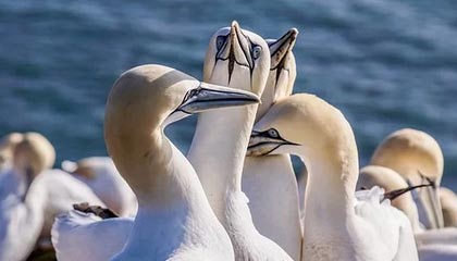 高邮乐膳食品有限公司成立 注册资本30万人民币