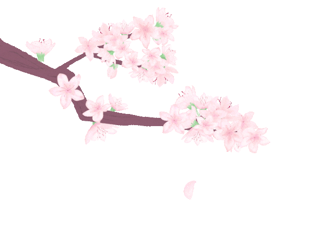 “半城江水半城花”系列报道④｜优雅丁香：花瓣儿写意一座城