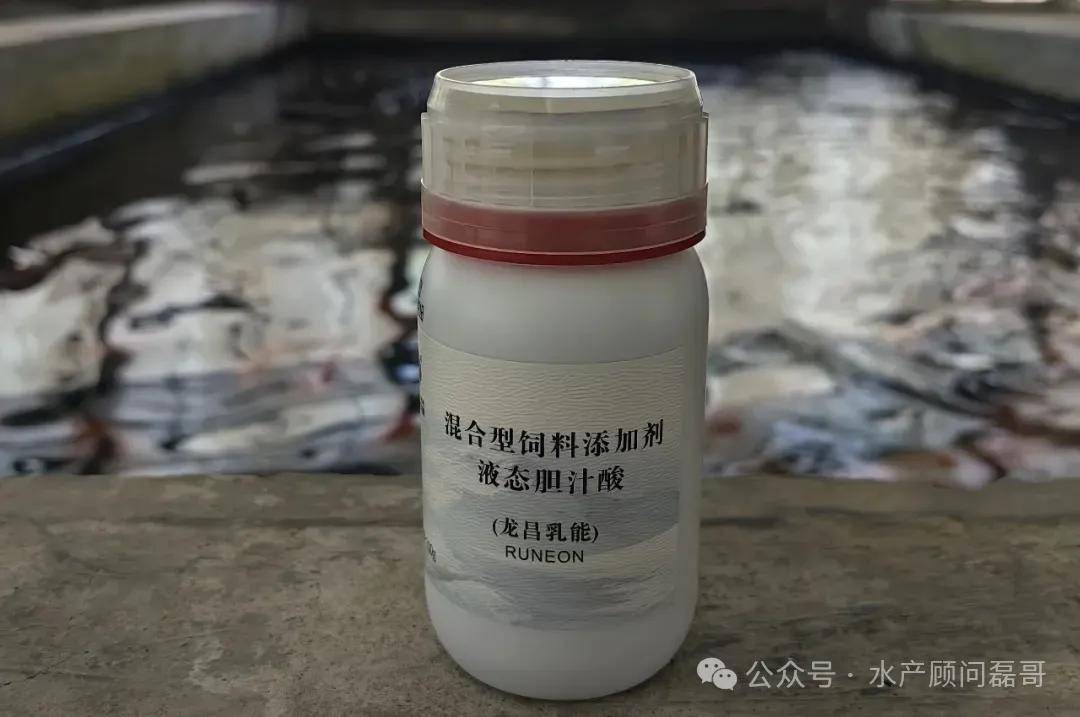 想要鱼长得好，又要鱼发病少，就要多注意鱼肝胆综合症！