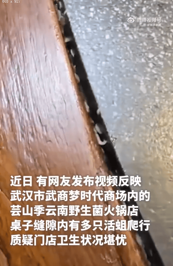湖北武汉一火锅店桌缝内有活蛆爬行，当地监管部门介入，涉事门店最新回应