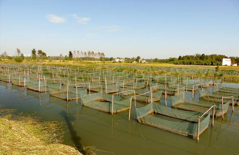 湖北福泽农业技术有限公司靠谱吗