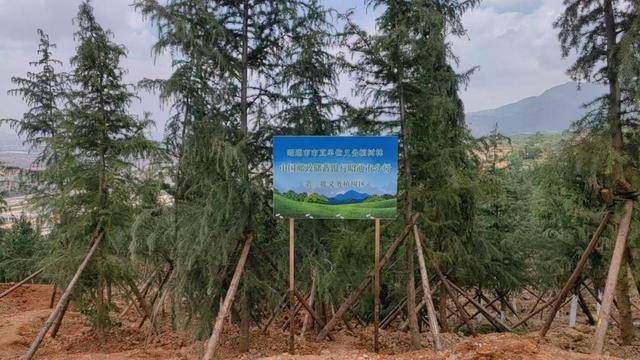 邮储“绿”点靓乌蒙山 ——昭通分行“手植一棵树 绿化一片天”义务植树活动