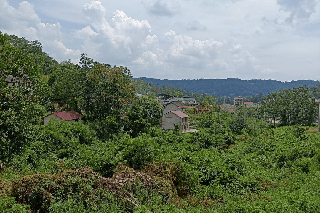 一个正厅一个副处,两名“蔡光辉”落马竟是亲兄弟,父亲称长子曾改名|红星调查