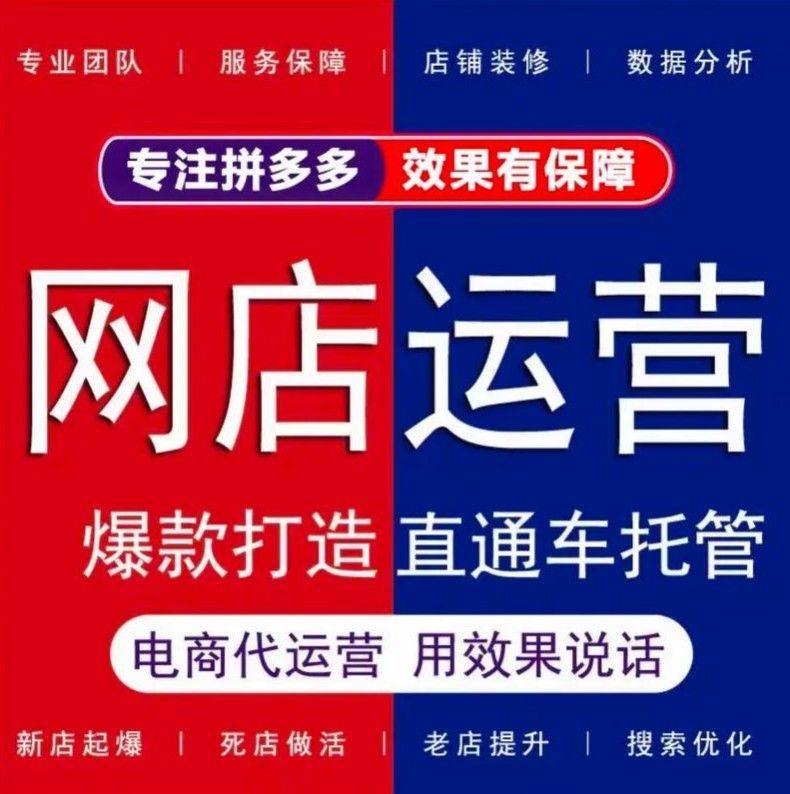 拼多多代运营广州鼎易 定制专属运营方案