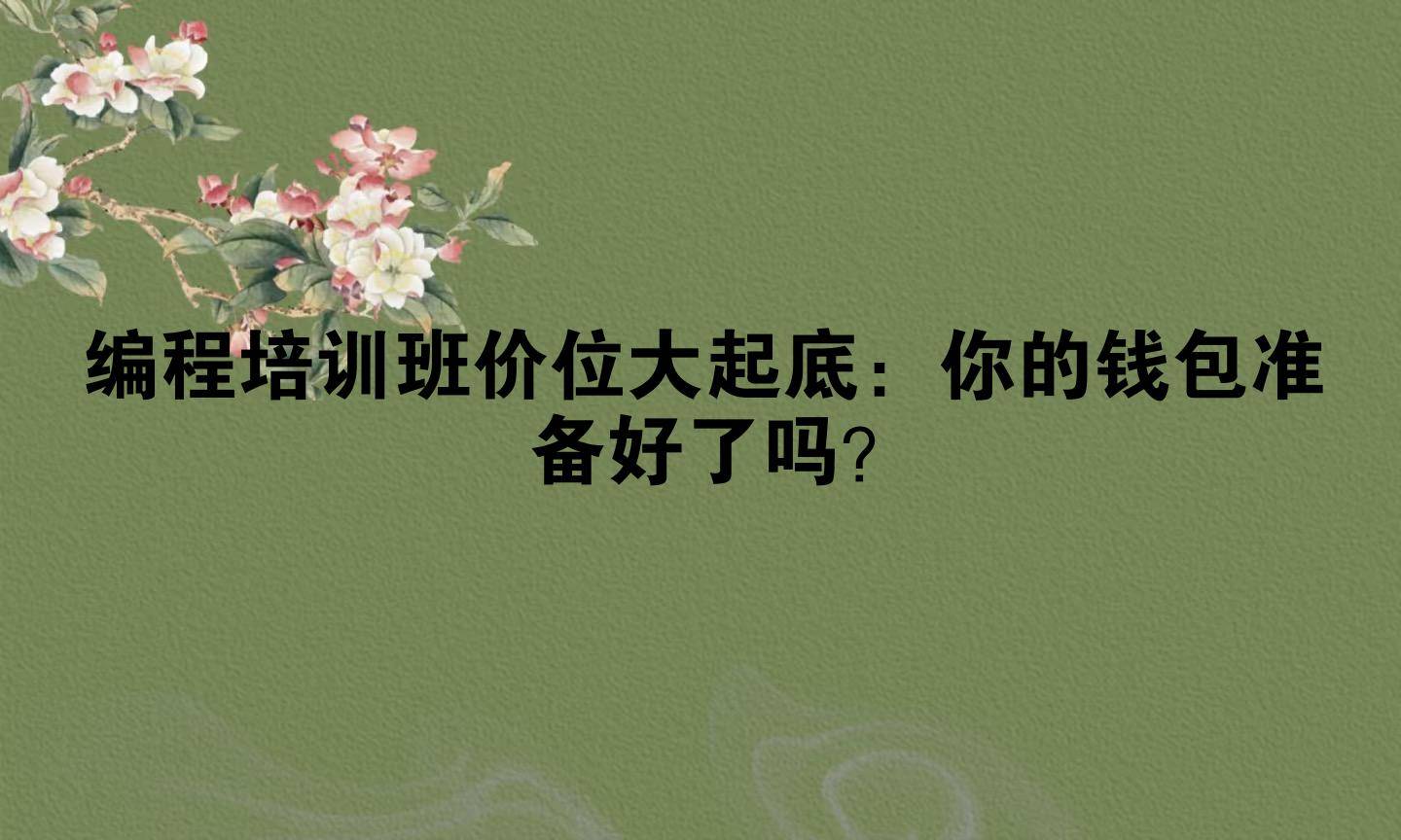 编程培训班价位大起底：你的钱包准备好了吗？