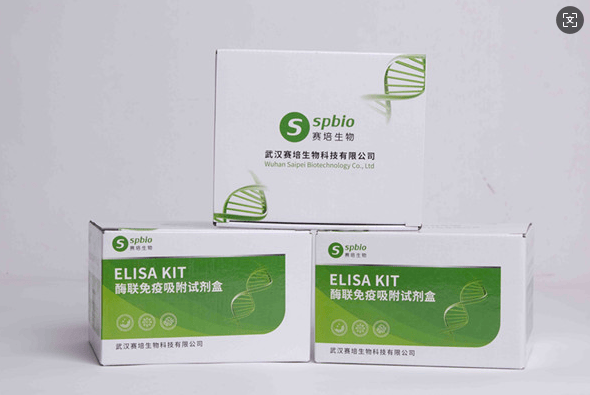 人可溶性血管内皮生长因子受体1(sFlt-1)酶联免疫分析ELISA试剂盒使用说明