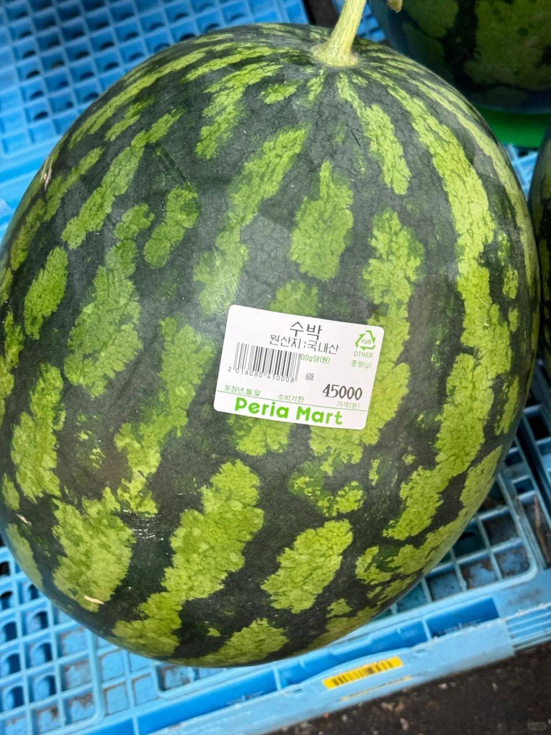 韩国一个西瓜卖173元人民币