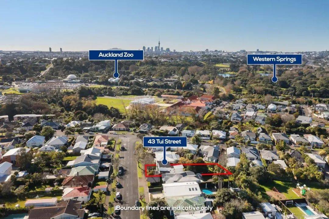 素未谋面的人送她一栋房子，价值185万纽币！只因“你是个好人”