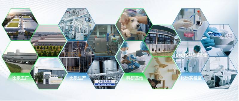 比乐：以“品质力”践行“长期主义”