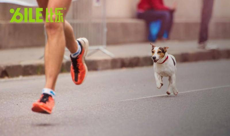 比乐：私域生态与用户叙事，开启情感共鸣新篇章