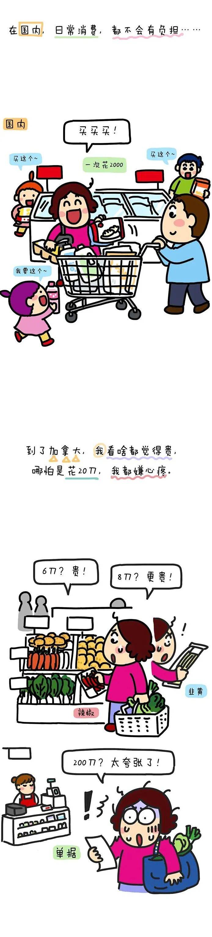 在加拿大消费，自带人民币滤镜。。
