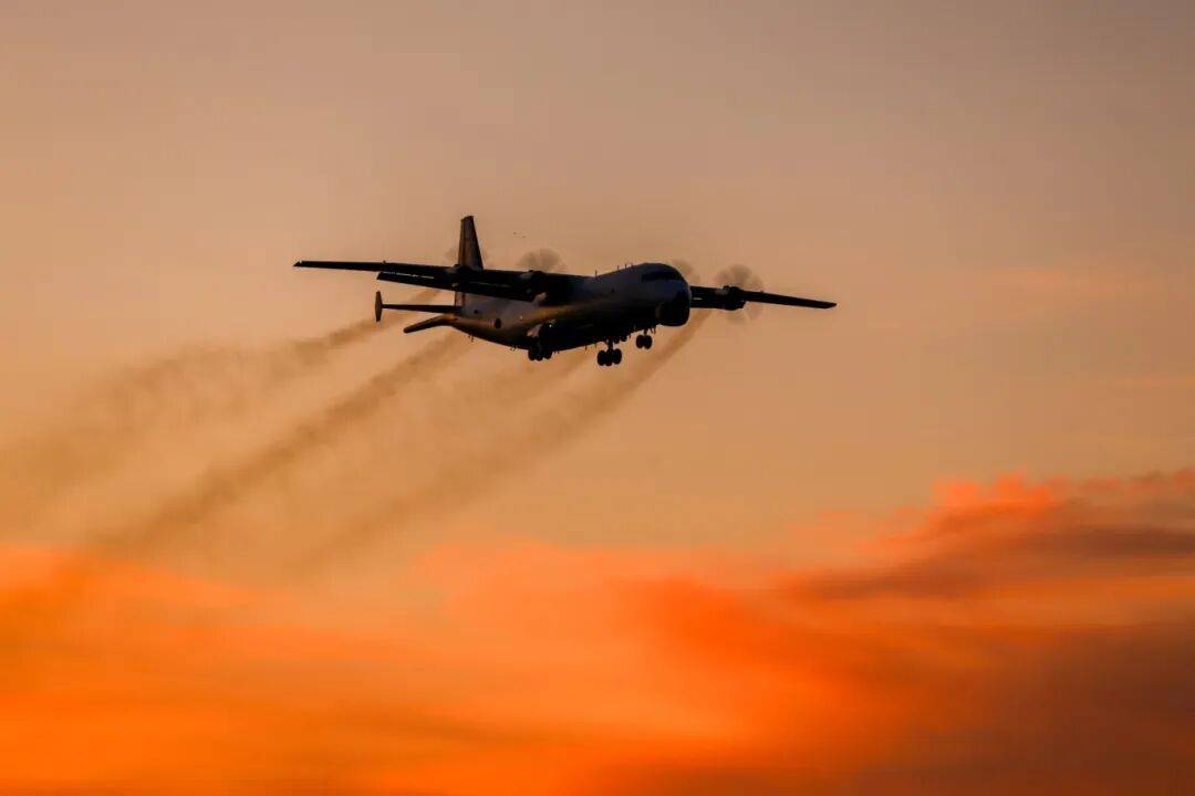 深海布网，云端猎鲨！
