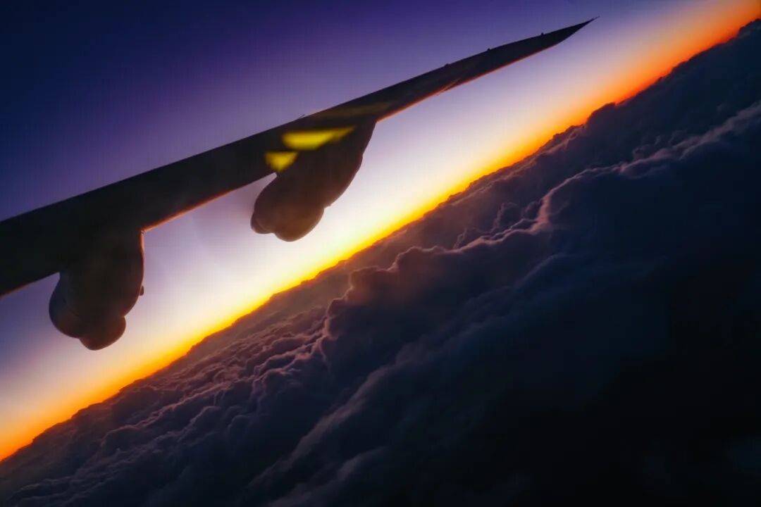 深海布网，云端猎鲨！