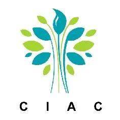 00后新人恐怖如斯，这毕设脑洞，AI都抄不明白吧？