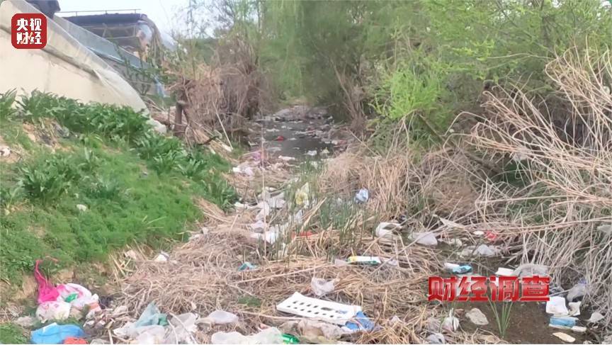 恶臭弥漫、垃圾围村！总台《财经调查》曝光多地违法倾倒乱象→