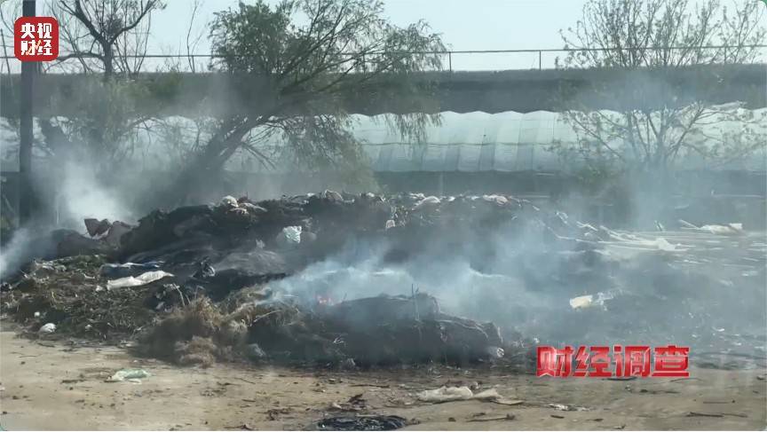 恶臭弥漫、垃圾围村！总台《财经调查》曝光多地违法倾倒乱象→