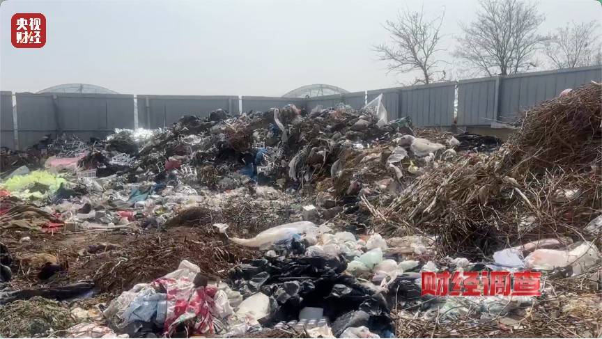 恶臭弥漫、垃圾围村！总台《财经调查》曝光多地违法倾倒乱象→