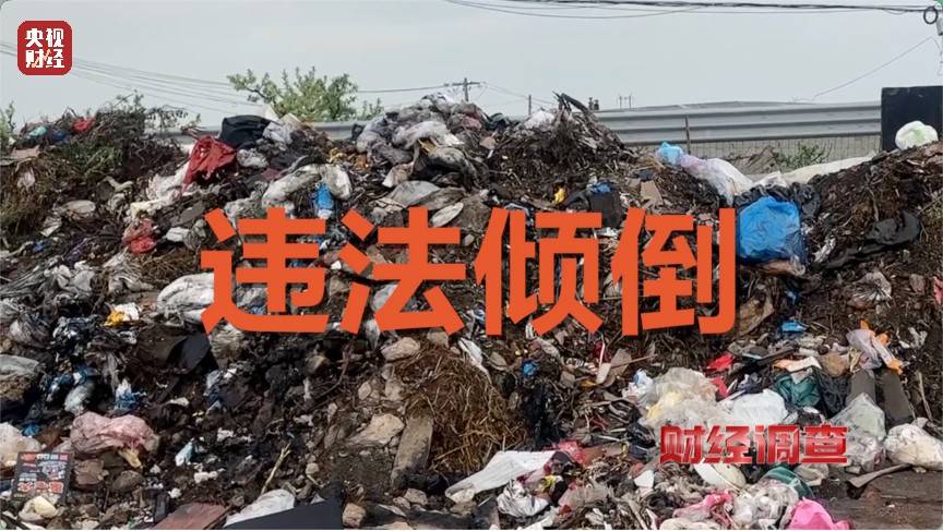 恶臭弥漫、垃圾围村！总台《财经调查》曝光多地违法倾倒乱象→