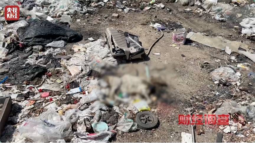 恶臭弥漫、垃圾围村！总台《财经调查》曝光多地违法倾倒乱象→