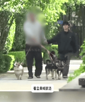 恋爱脑实锤？她这次又被拍到新恋情了？