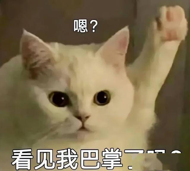 兼职!300—500元/天!