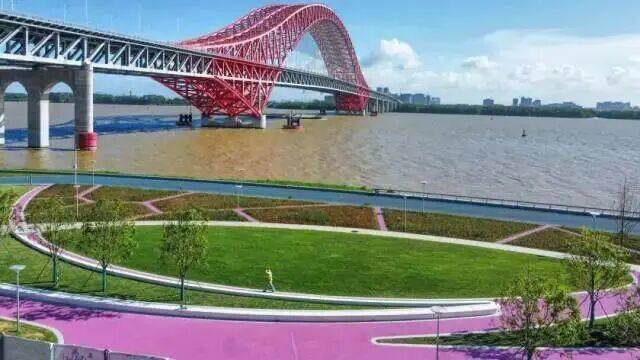 南沙滨海岸线又一高颜值打卡点来啦~快来江畔赏花!