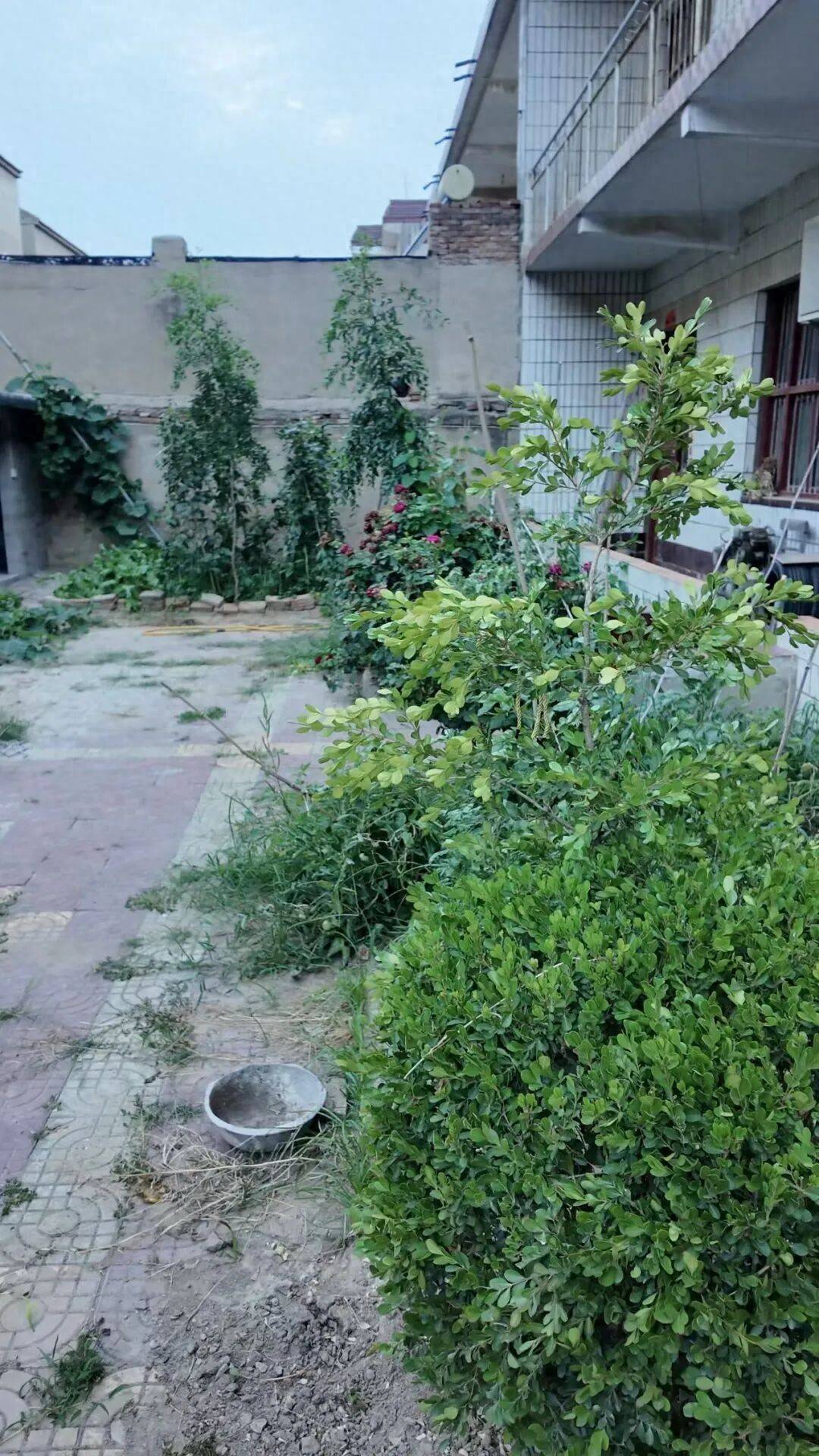 被错误羁押1399天落下残疾，获得国家赔偿后，河南农民齐兰周的追问：办案人员为什么不追责？