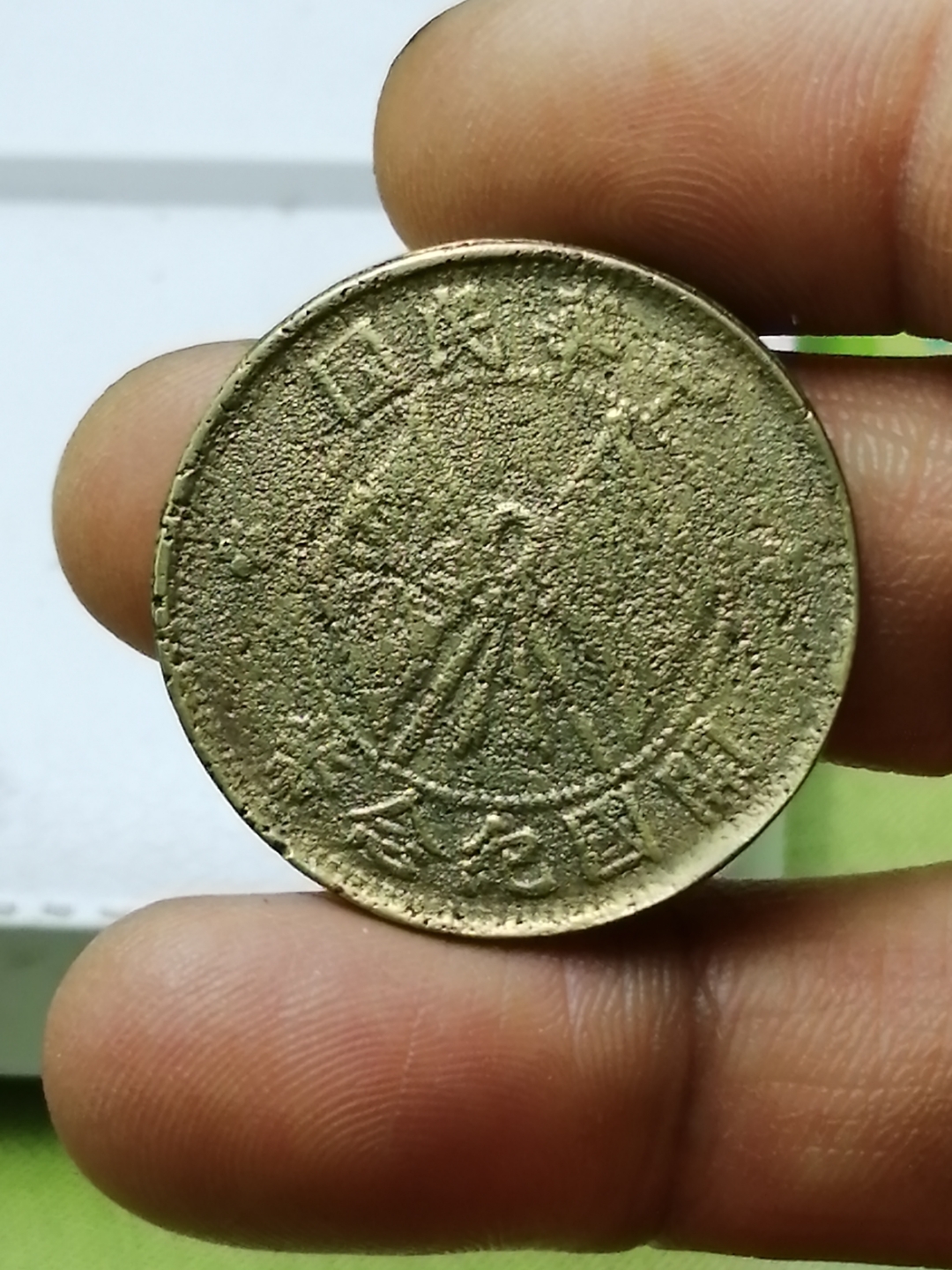 沙币图片(沙币长什么样)