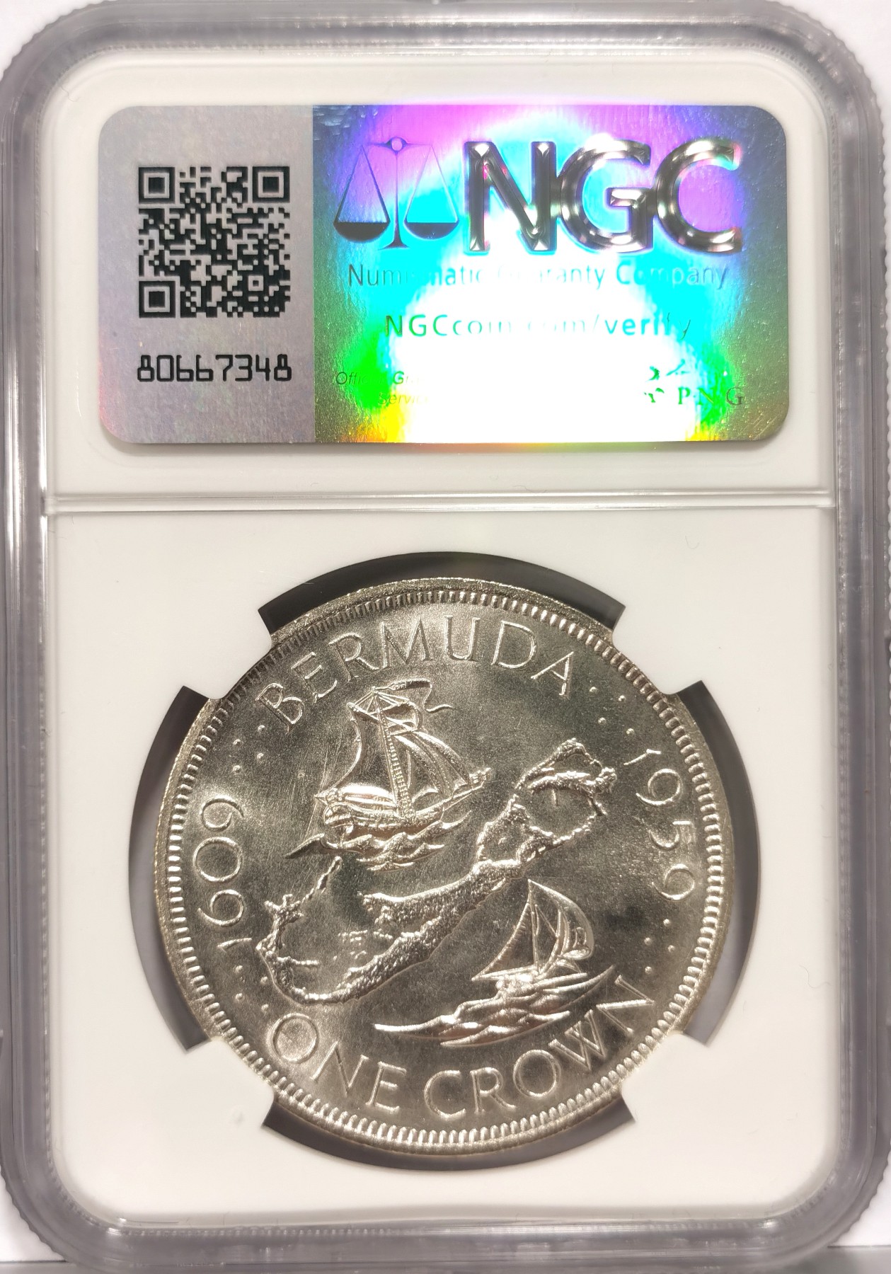 全币白(全币白需要激活吗)