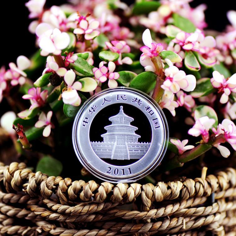 猫币(猫雨欣图片)